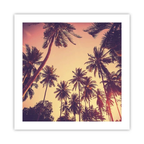 Poster - Composizione tropicale - 50x50 cm
