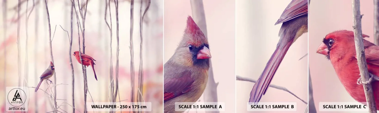 Campione Di Fotomurale Standard Eco - Il racconto del bosco rosa - Uccello, Natura, foresta - 100x30 cm