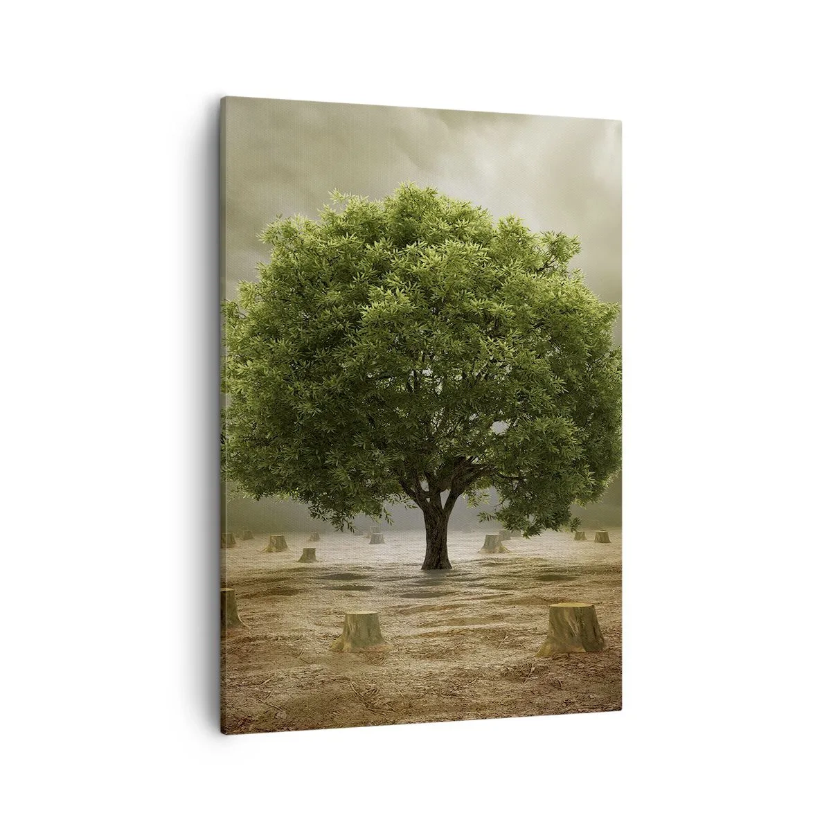 Quadro su tela - Stampe su Tela - Un albero verde circondato da tronchi d'albero abbattuti contro un cielo nuvoloso - 50x70cm - Ogni speranza - Decorazione murale moderna per soggiorno e camera da letto ARTTOR