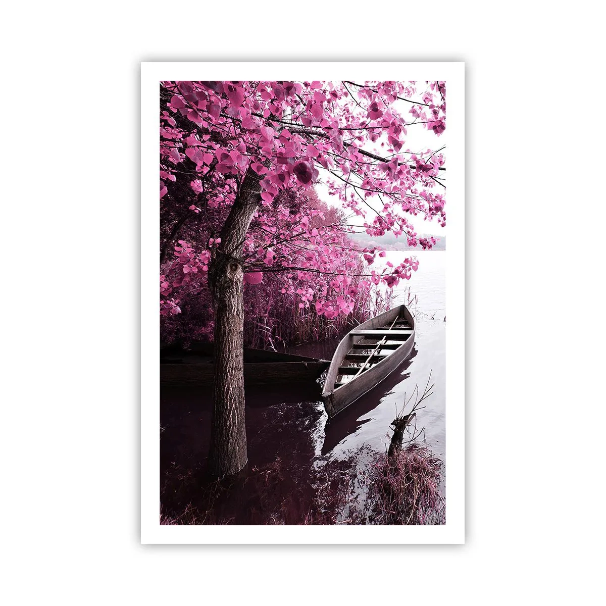 Poster - Nel silenzio rosa - 61x91 cm