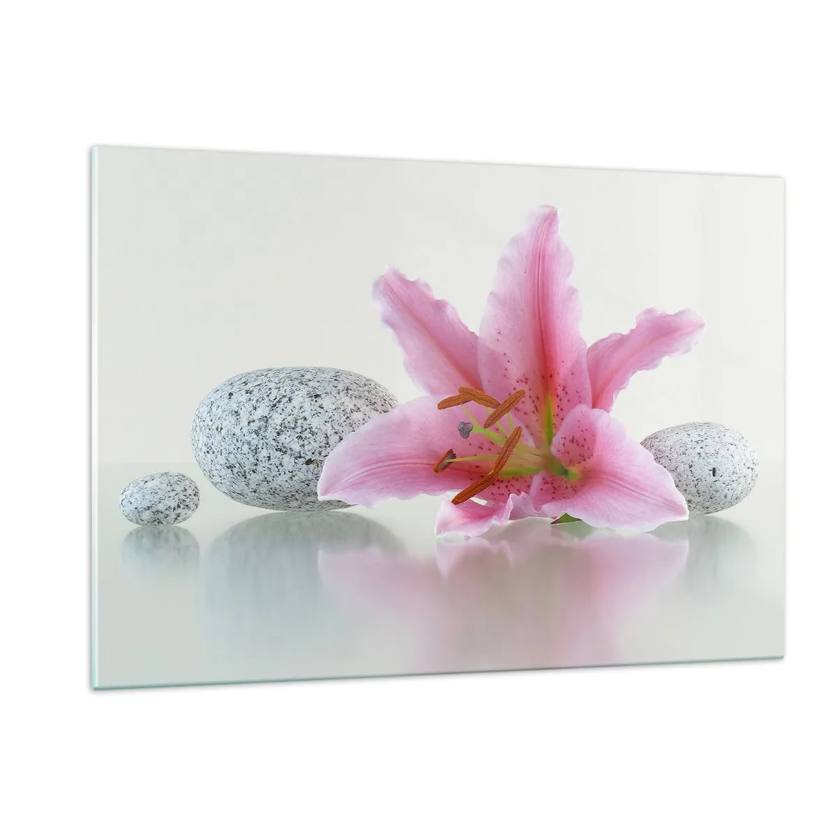 Quadro su vetro - Giglio rosa su uno sfondo di pietre bianche in stile spa - 120x80cm - Studio in rosa, grigio e bianco - Decorazione murale moderna per soggiorno e camera da letto ARTTOR