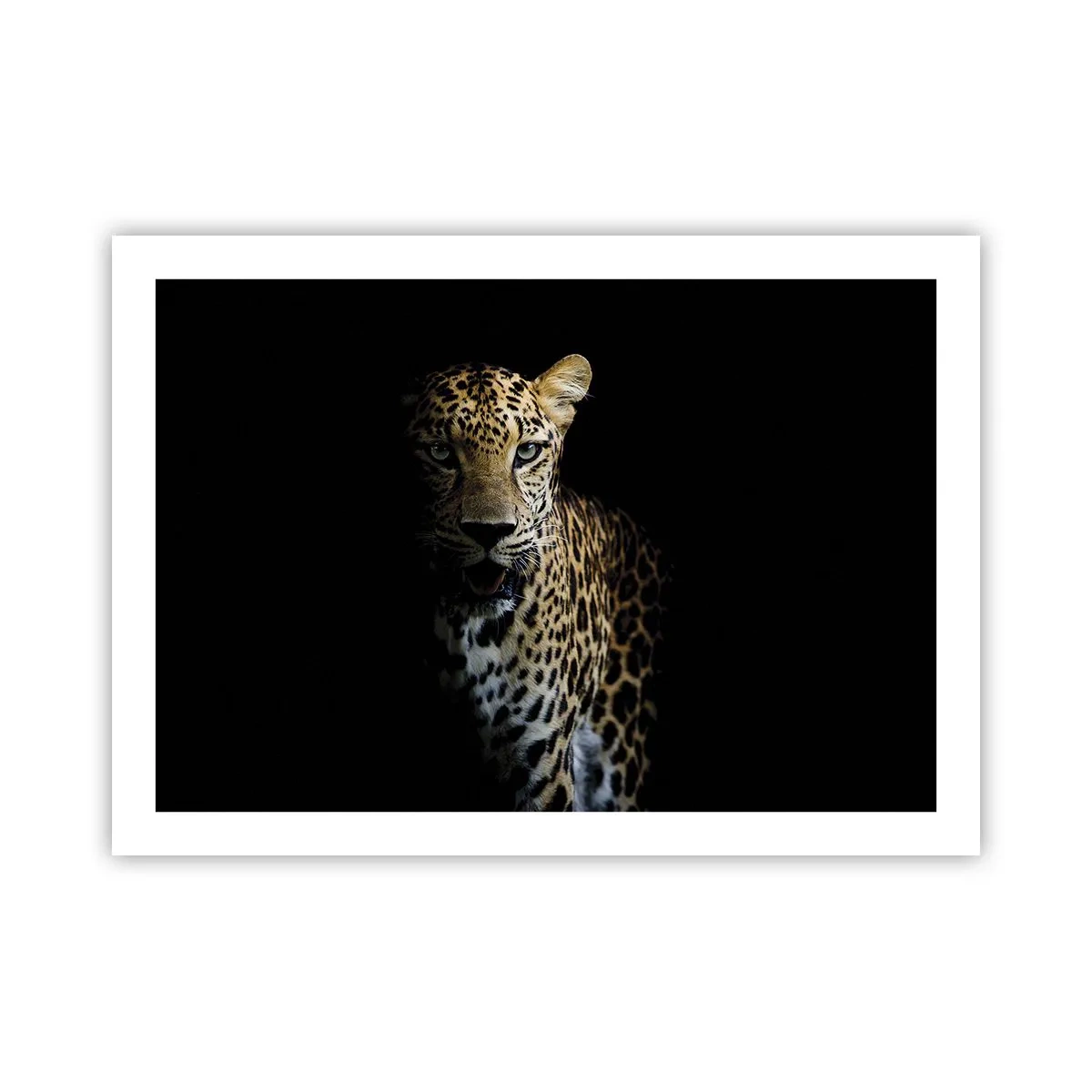 Poster - Bellezza tenebrosa - 70x50 cm