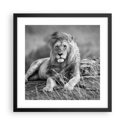 Poster in cornice nera - La siesta del re - 40x40 cm