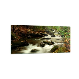 Quadro su vetro - Un ruscello nella foresta che scorre tra le pietre circondato dal verde - 120x50cm - Come argento liquido - Decorazione murale moderna per soggiorno e camera da letto ARTTOR