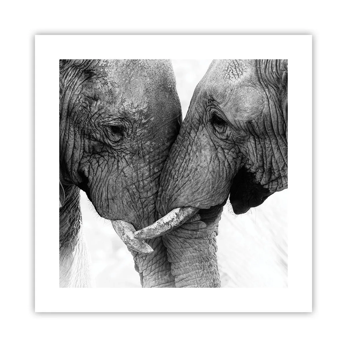 Poster - Dichiarazione sincera - 40x40 cm