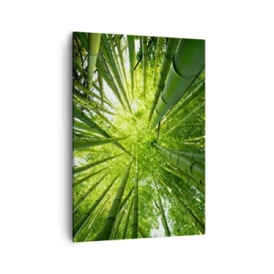 Quadro su tela - Stampe su Tela - Vista attraverso un boschetto di bambù verde - 50x70cm - Nella foresta di bambù - Decorazione murale moderna per soggiorno e camera da letto ARTTOR