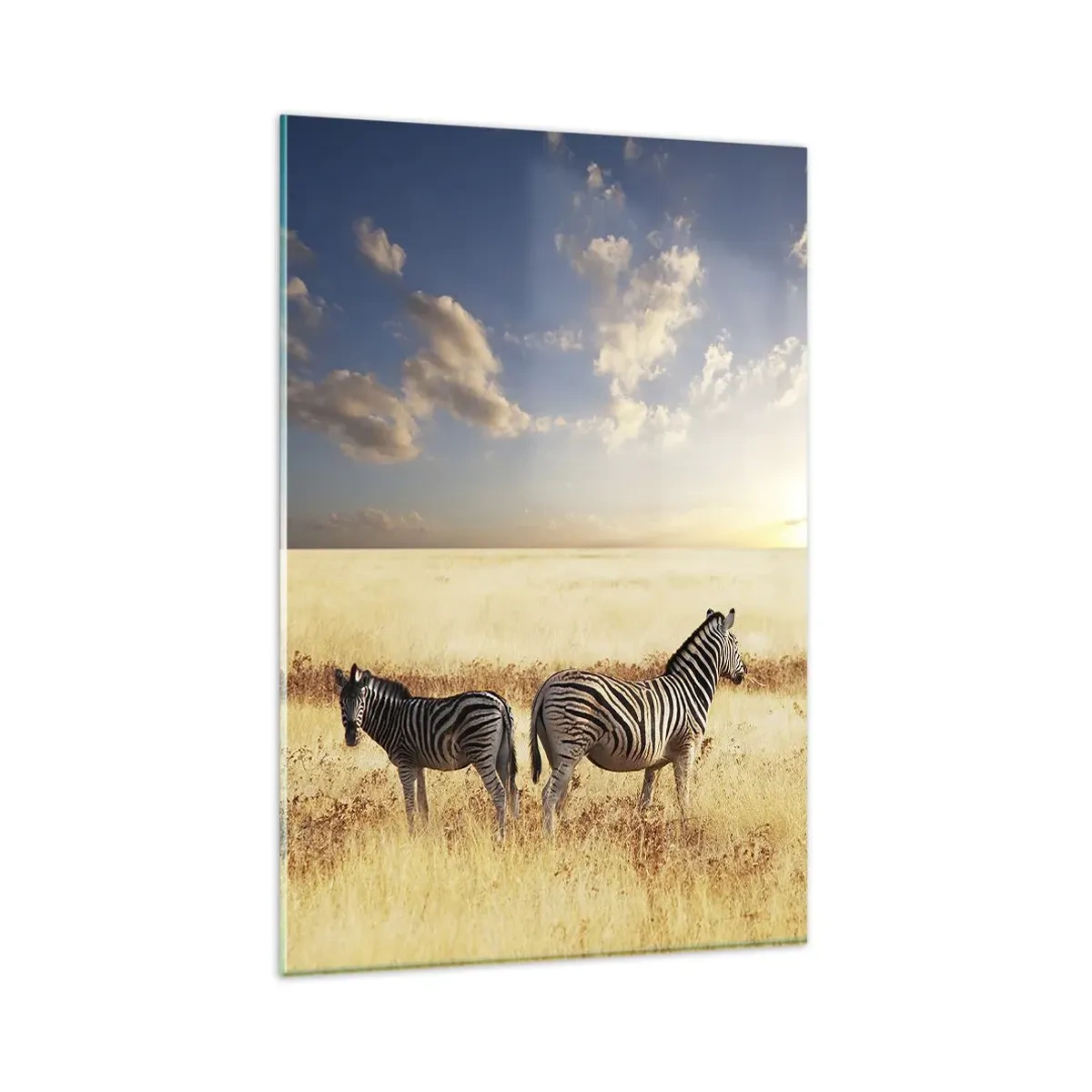 Quadro su vetro - Due zebre nella savana sotto i raggi del sole al tramonto - 80x120cm - Allontanati, non disturbare - Decorazione murale moderna per soggiorno e camera da letto ARTTOR