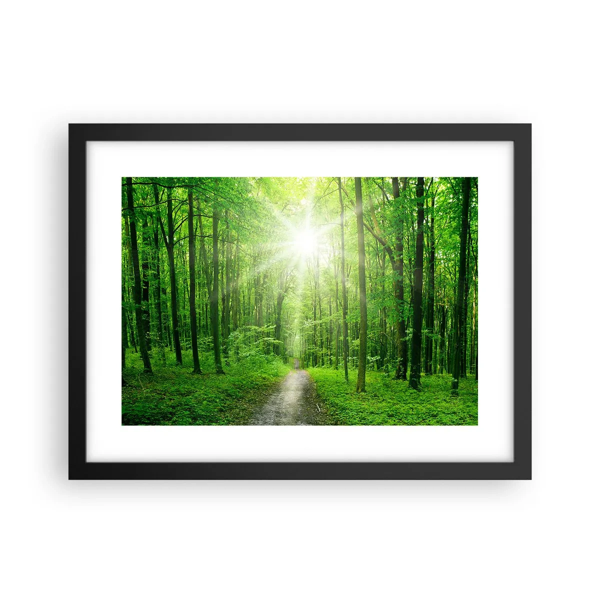 Poster in cornice nera - Cattedrale verde - 40x30 cm