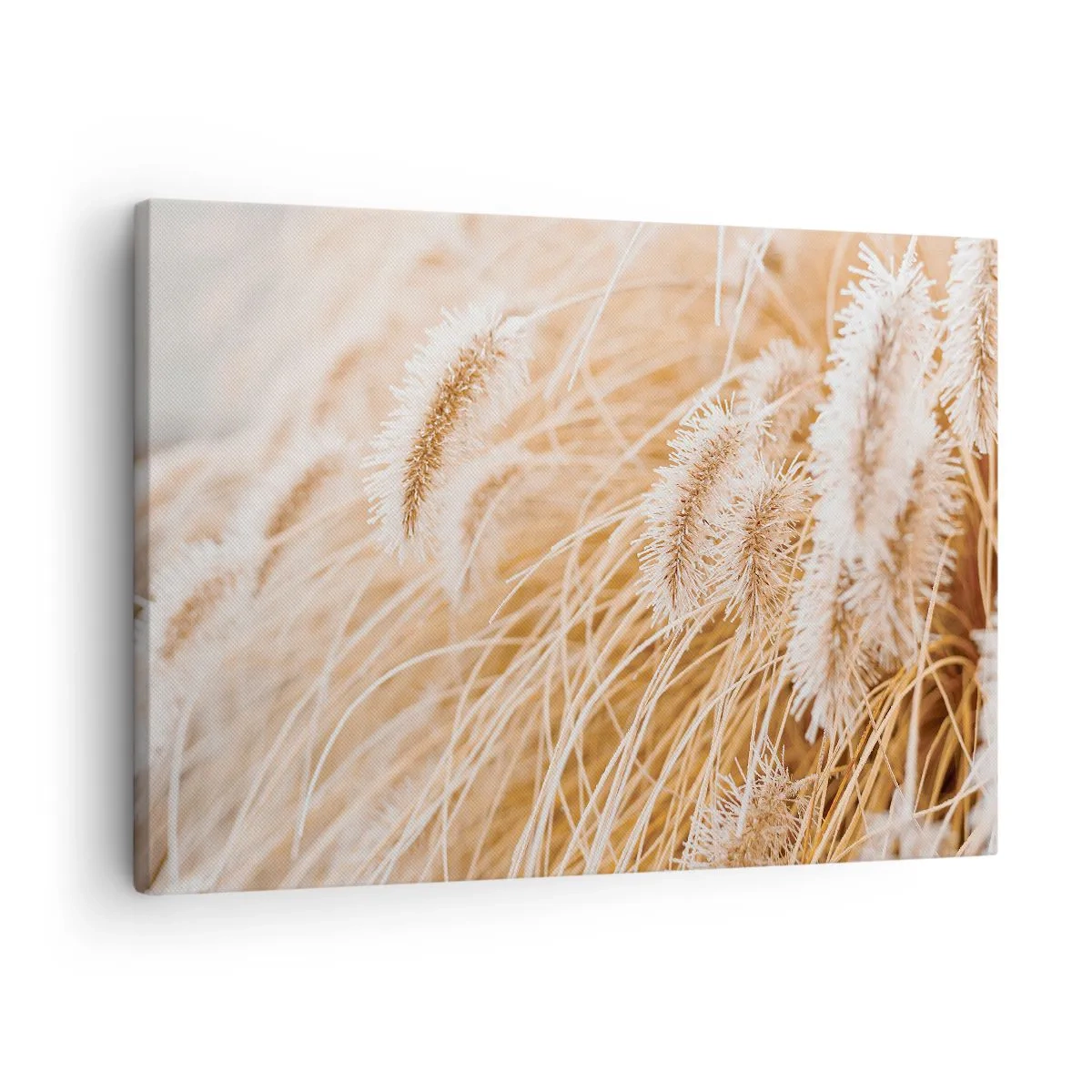 Quadro su tela - Stampe su Tela - Primo piano di erbe dorate e delicate alla luce del sole - 70x50cm - Il fruscio dorato dell'erba - Decorazione murale moderna per soggiorno e camera da letto ARTTOR