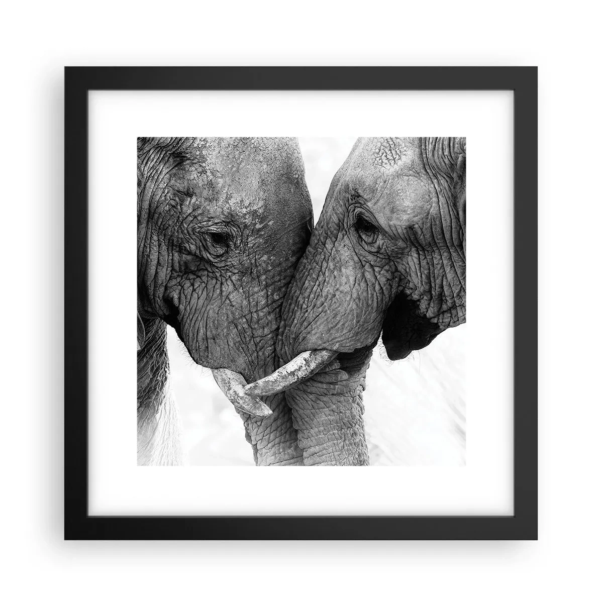 Poster in cornice nera - Dichiarazione sincera - 30x30 cm