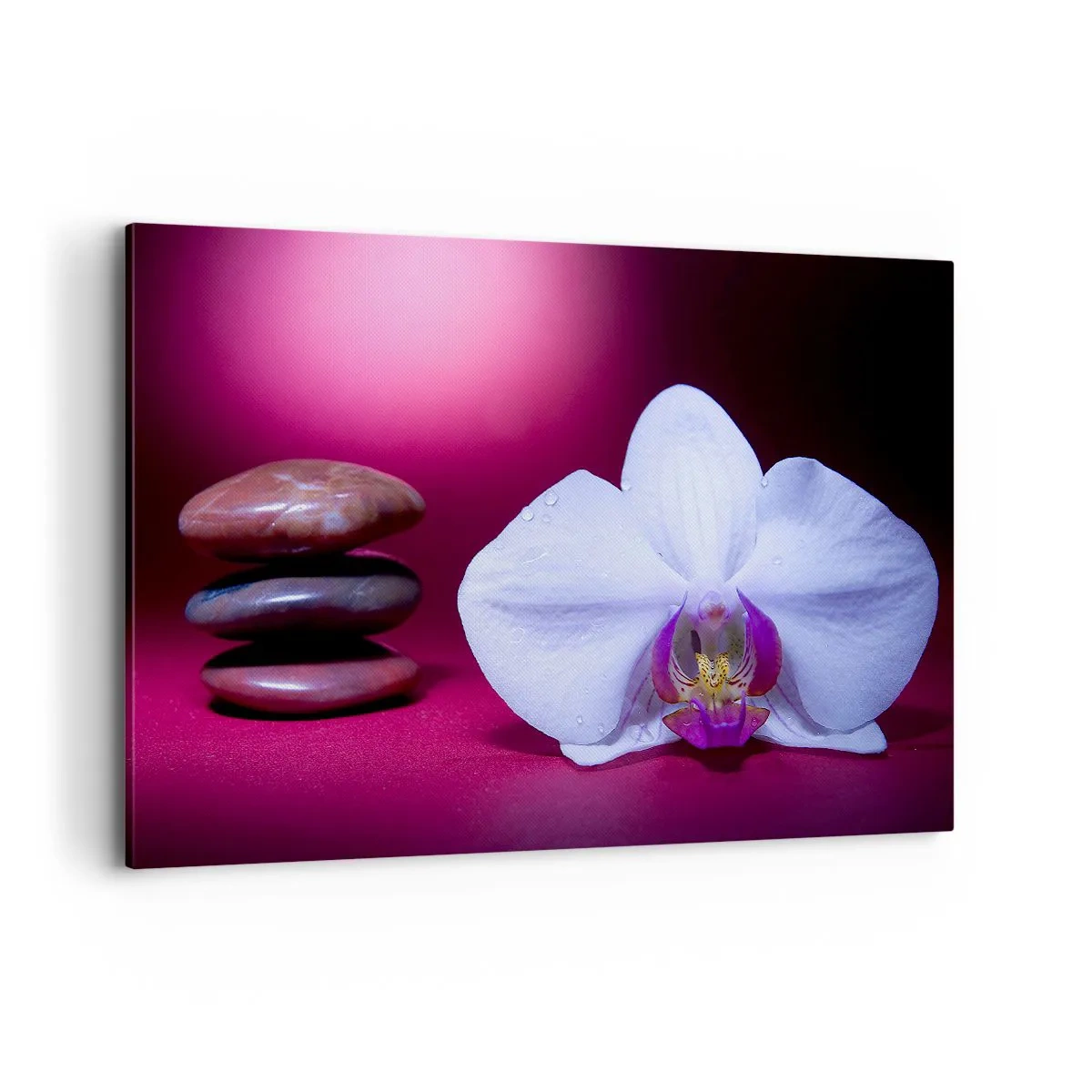 Quadro su tela - Stampe su Tela - Orchidea bianca e pietre su sfondo rosa - 120x80cm - Studio di freschezza in viola - Decorazione murale moderna per soggiorno e camera da letto ARTTOR