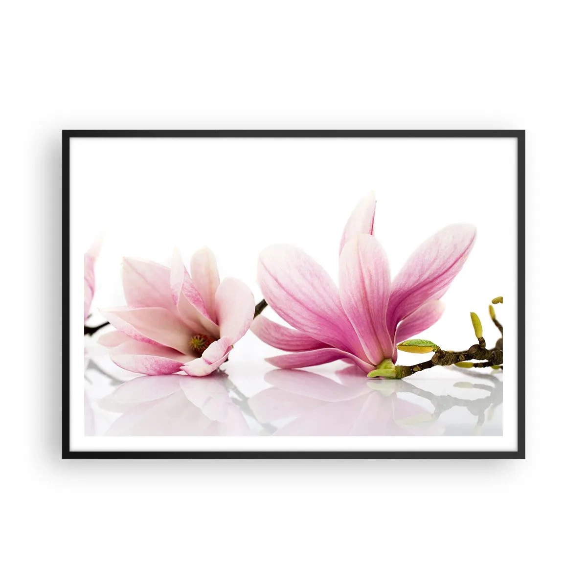 Poster in cornice nera - Delicate magnolie rosa su sfondo bianco - 100x70cm - Delicati come un soffio di primavera - Decorazione murale moderna per soggiorno e camera da letto ARTTOR