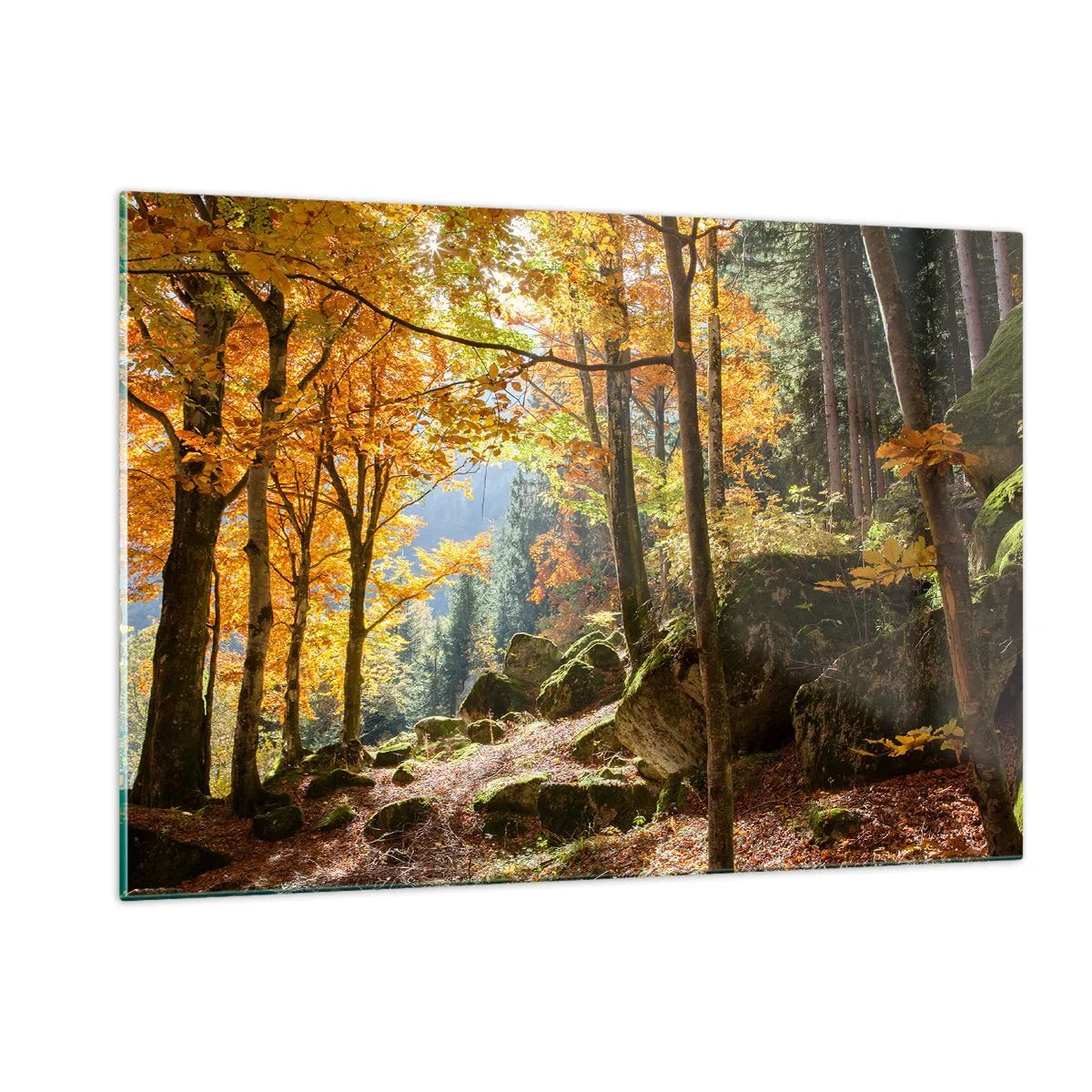 Quadro su vetro - Foresta autunnale con raggi di sole e pietre - 120x80cm - Il tempo del riposo - Decorazione murale moderna per soggiorno e camera da letto ARTTOR