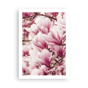 Poster - Romantiche magnolie in fiore in un delicato rosa - 50x70cm - La primavera è rosa - Decorazione murale moderna per soggiorno e camera da letto ARTTOR