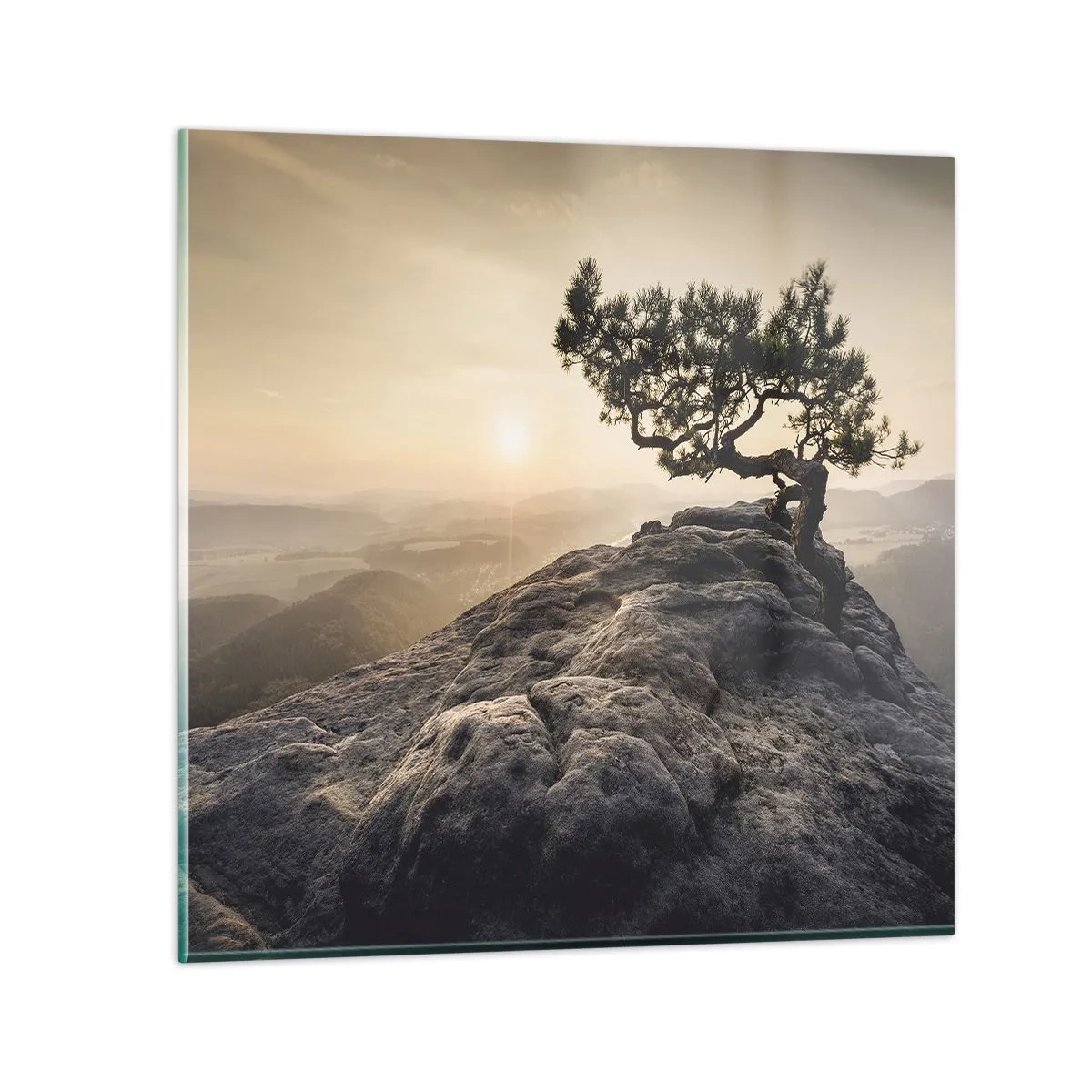 Quadro su vetro - La vita vince sempre - 70x70 cm