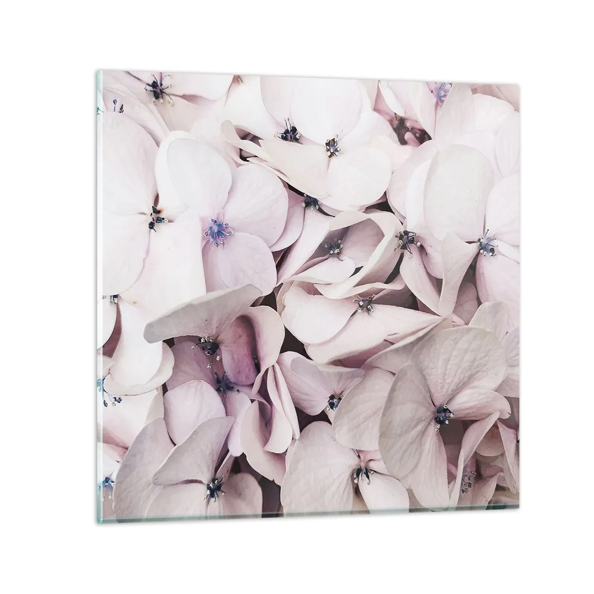 Quadro su vetro - Un'alluvione di fiori - 30x30 cm