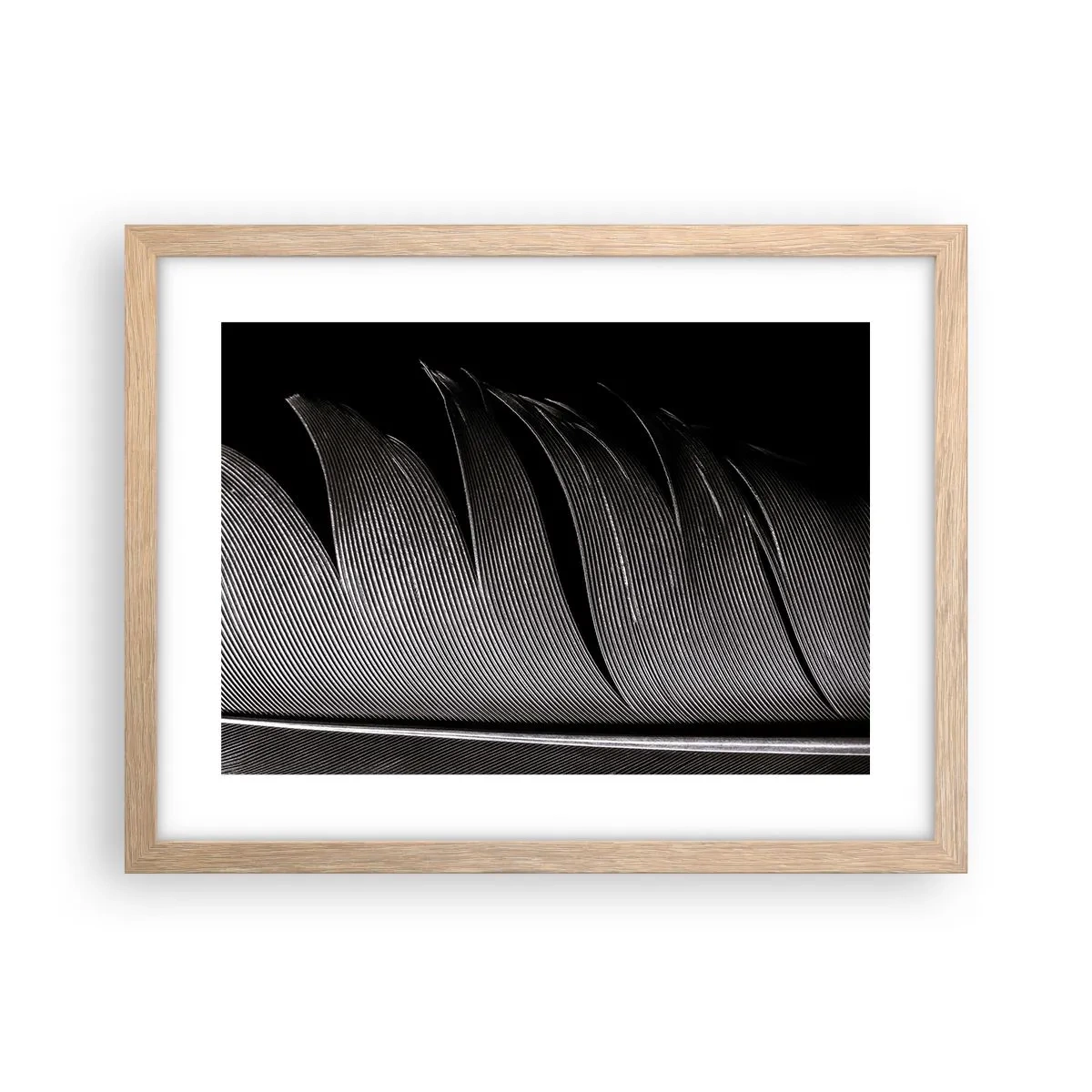 Poster in cornice rovere chiaro - Piuma: struttura meravigliosa - 40x30 cm