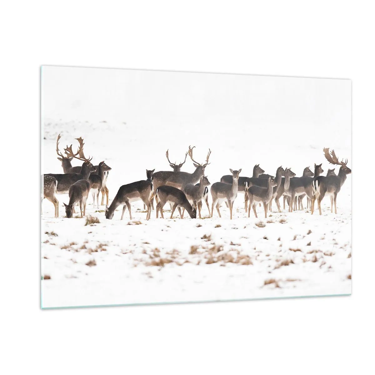 Quadro su vetro - Una fotografia di una mandria di cervi in un paesaggio innevato - 120x80cm - Tra poco è Natale? - Decorazione murale moderna per soggiorno e camera da letto ARTTOR