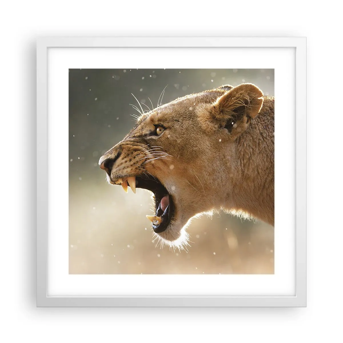 Poster in cornice bianca - Prova a non ascoltare - 40x40 cm