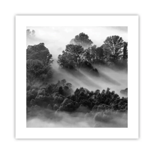 Poster - Risveglio dal sonno - 40x40 cm