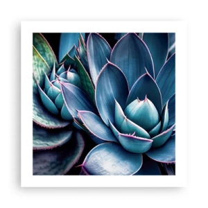 Poster - Forza vitale - 50x50 cm