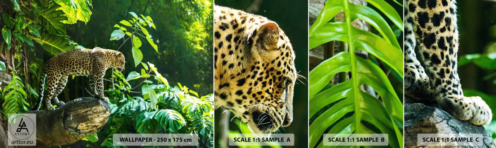 Campione di Fotomurale Adesivo Deluxe Sticker - A caccia? - Giungla, leopardo, Tropici - 100x30 cm