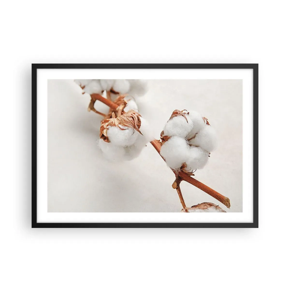 Poster in cornice nera - Un rametto di cotone su uno sfondo sottile - 70x50cm - Semplicemente un abbraccio - Decorazione murale moderna per soggiorno e camera da letto ARTTOR