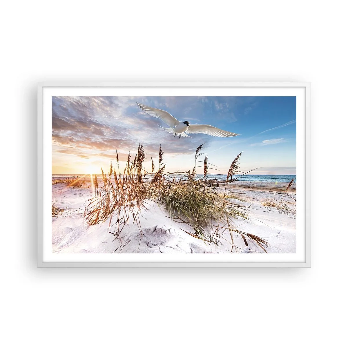 Poster in cornice bianca - Vento dal mare - 91x61 cm
