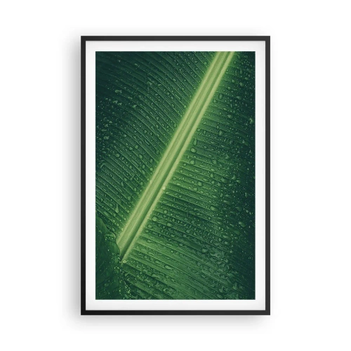 Poster in cornice nera - La struttura del verde - 61x91 cm