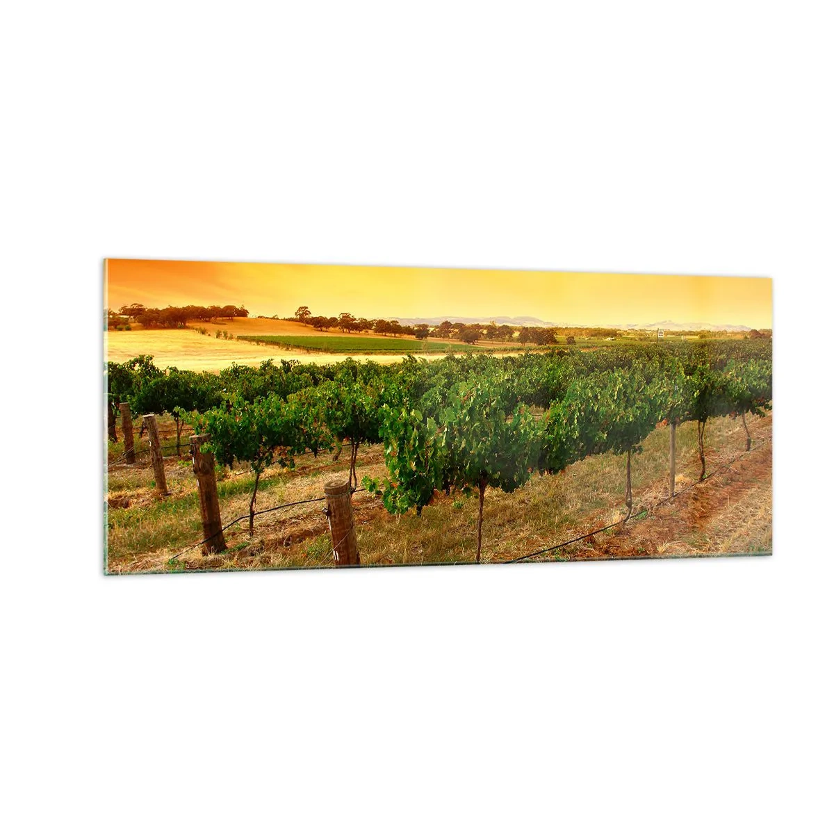 Quadro su vetro - Ubriacarsi di sole - 100x40 cm