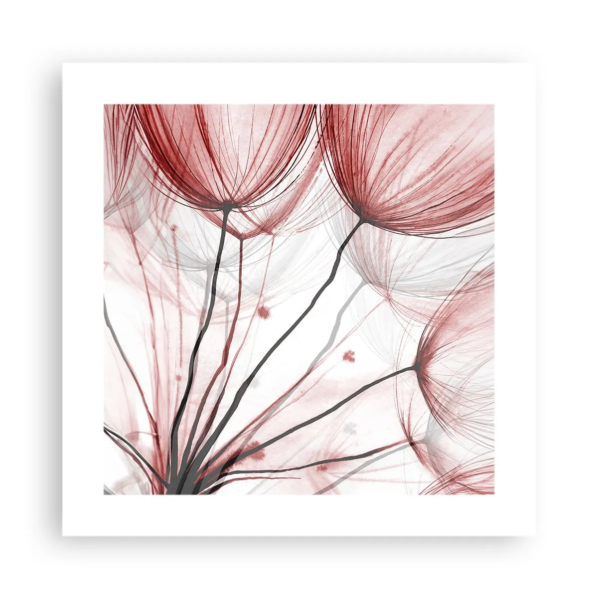 Poster - Prima del decollo - 40x40 cm