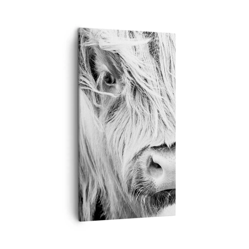 Quadro su tela - Stampe su Tela - Selvaticità scozzese - 45x80 cm