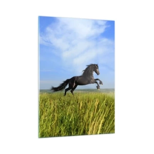 Quadro su vetro - Un cavallo nero al galoppo contro un cielo azzurro e un prato verde. - 50x70cm - Coinvolgente manifesto di libertà - Decorazione murale moderna per soggiorno e camera da letto ARTTOR