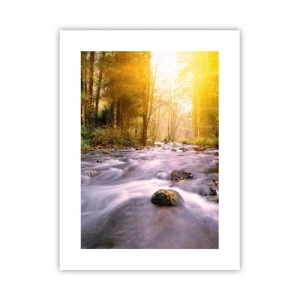 Poster - Malachite in cornice oro-argento - 30x40 cm