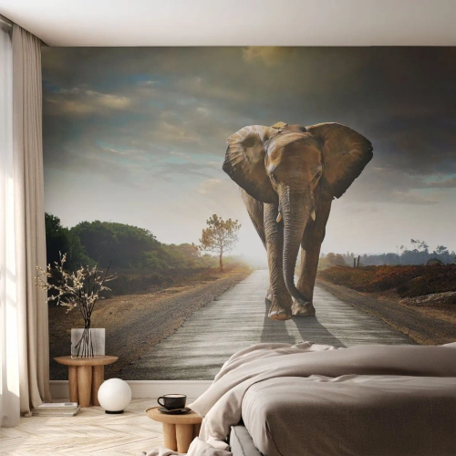 Fotomurali Autoadesivo Deluxe Sticker - E non nel negozio di cristalli - Elefante, Paesaggio, Natura - 100x70 cm