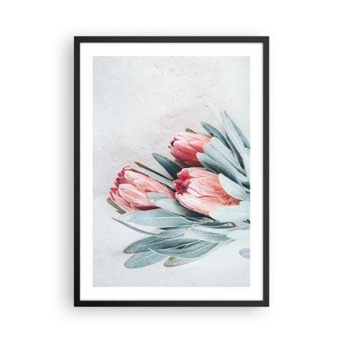 Poster in cornice nera - Una delicata composizione di fiori di protea su uno sfondo chiaro - 50x70cm - Imbarazzati per la propria bellezza - Decorazione murale moderna per soggiorno e camera da letto ARTTOR