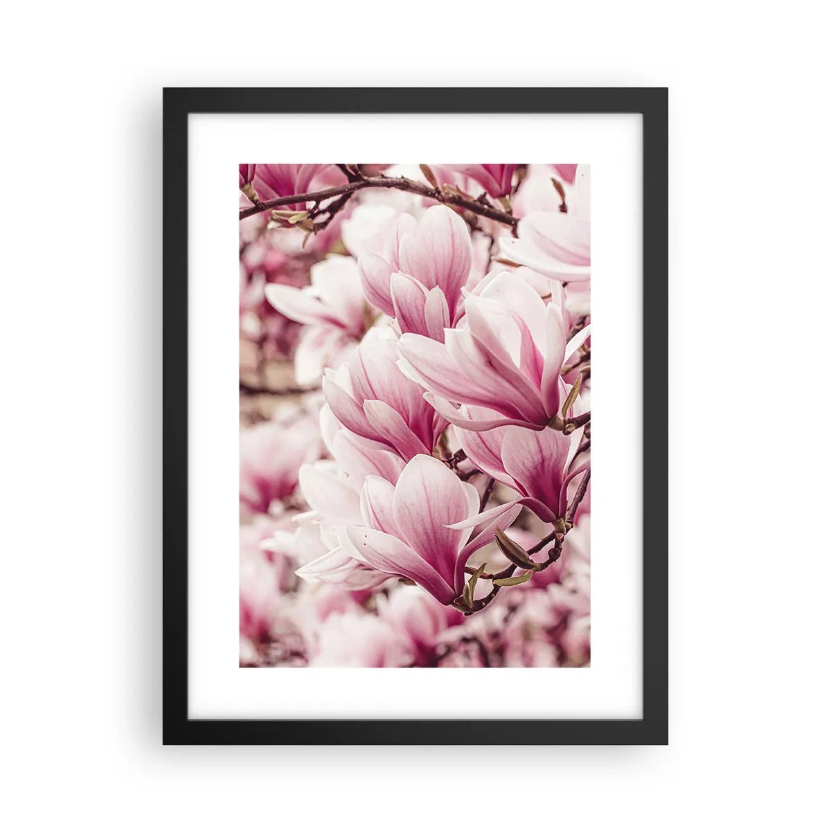 Poster in cornice nera - La primavera è rosa - 30x40 cm