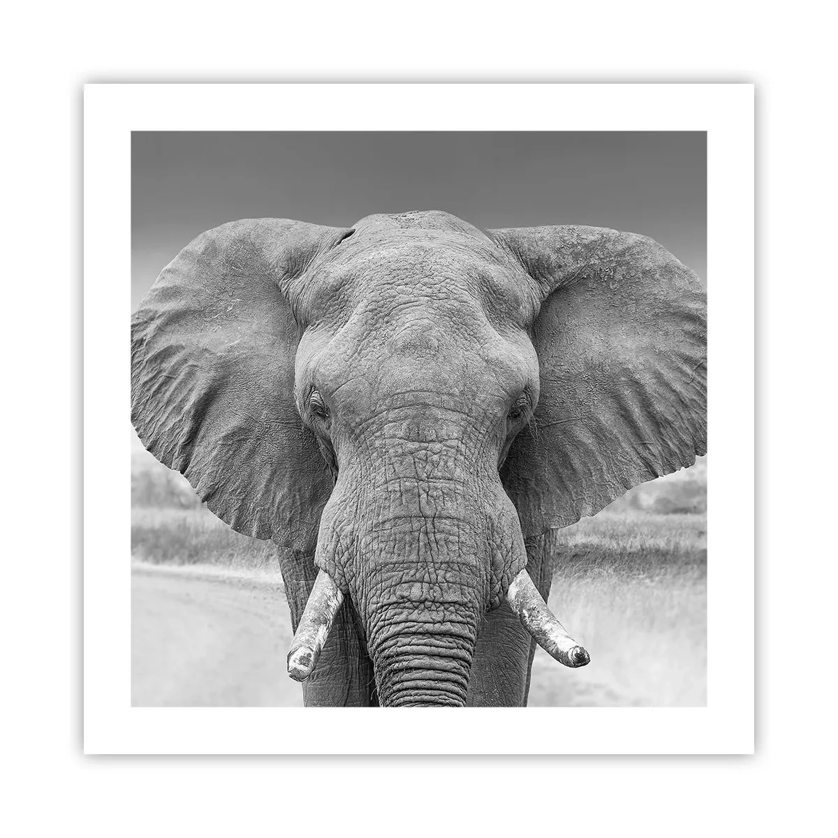 Poster - Benvenuti nel mio mondo - 50x50 cm