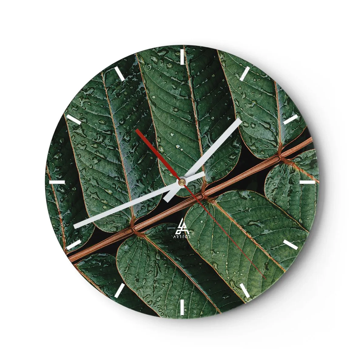 Orologio da parete - Orologio in Vetro - Primo piano di foglie con gocce d'acqua su uno sfondo scuro - 30x30cm - Al ritmo verde - Decorazione murale moderna per soggiorno, cucina e camera da letto ARTTOR