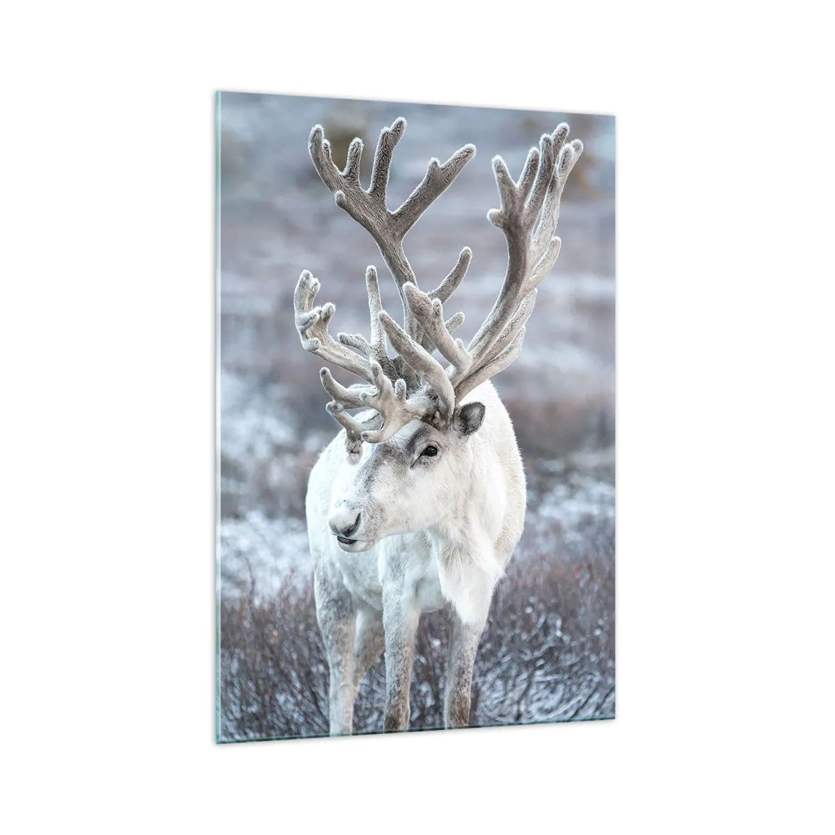 Quadro su vetro - Ritratto al sole - 70x100 cm