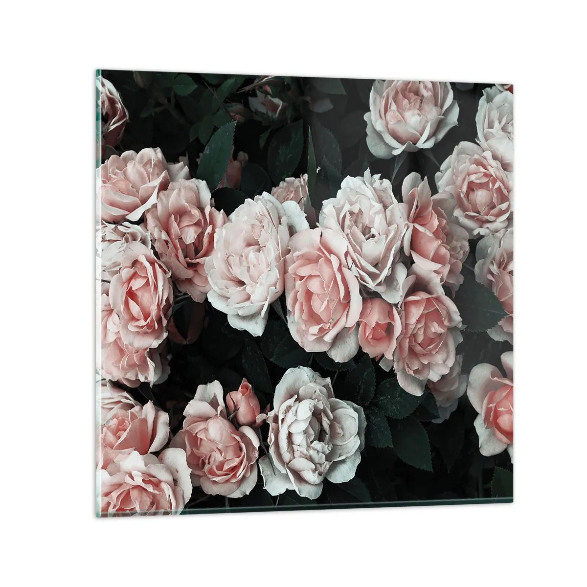 Quadro su vetro - Composizione di rose - 30x30 cm
