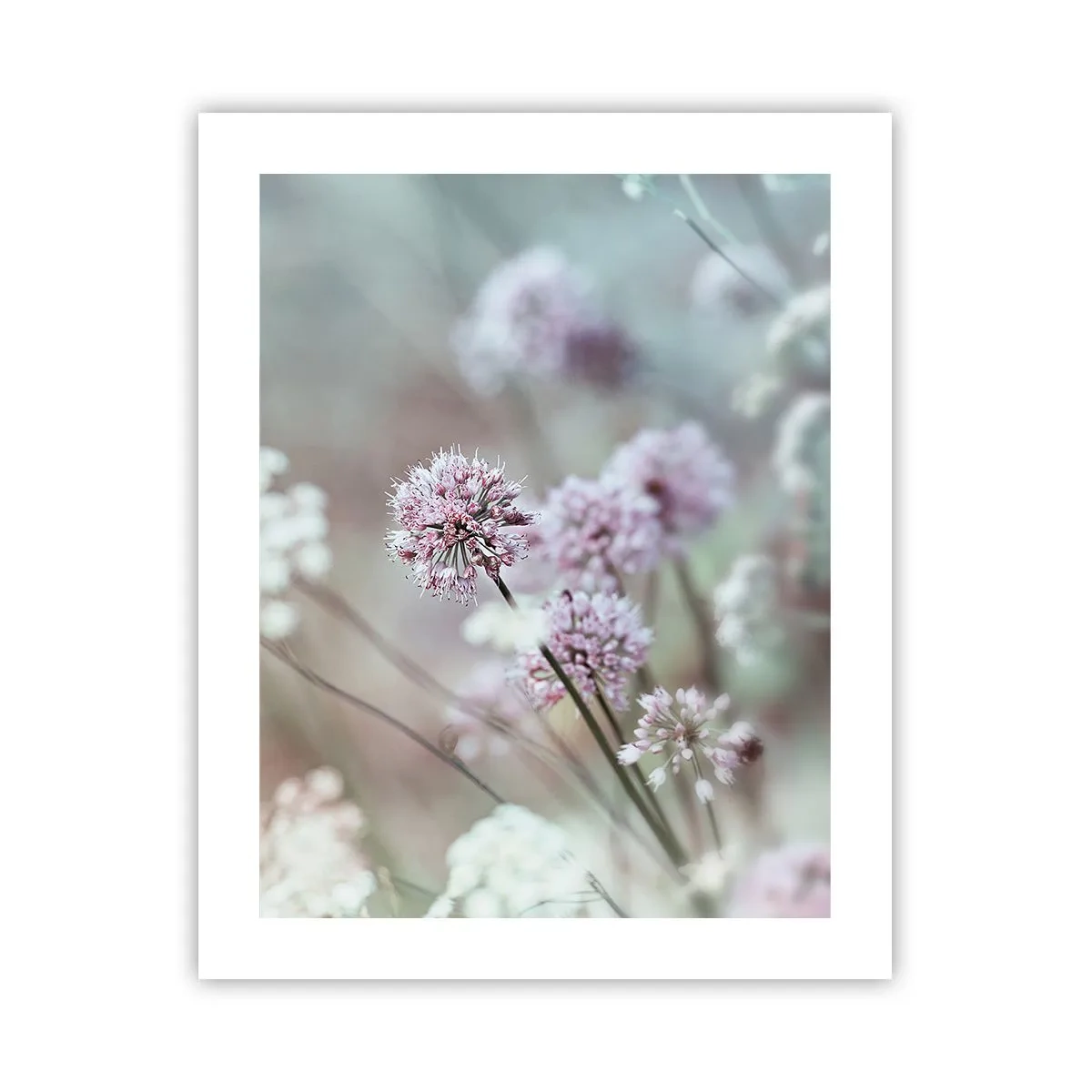 Poster - Le dolci filigrane delle erbe - 40x50 cm
