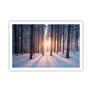 Poster - Decisamente nero su bianco - 91x61 cm