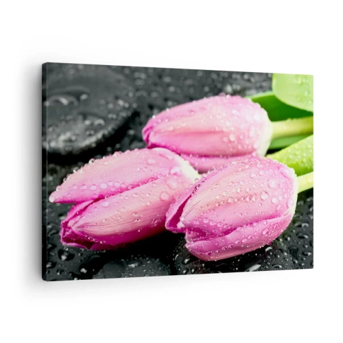Quadro su tela - Stampe su Tela - Tre tulipani rosa con gocce d'acqua su sfondo nero - 70x50cm - Una terna lilla su pietra nera - Decorazione murale moderna per soggiorno e camera da letto ARTTOR