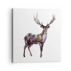 Quadro su tela - Stampe su Tela - Il re della foresta del nord - 70x70 cm