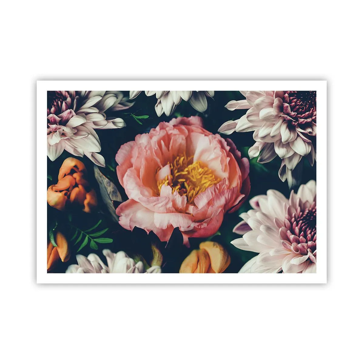 Poster - Composizione floreale con peonia e crisantemi su sfondo scuro - 100x70cm - Con fasto barocco - Decorazione murale moderna per soggiorno e camera da letto ARTTOR