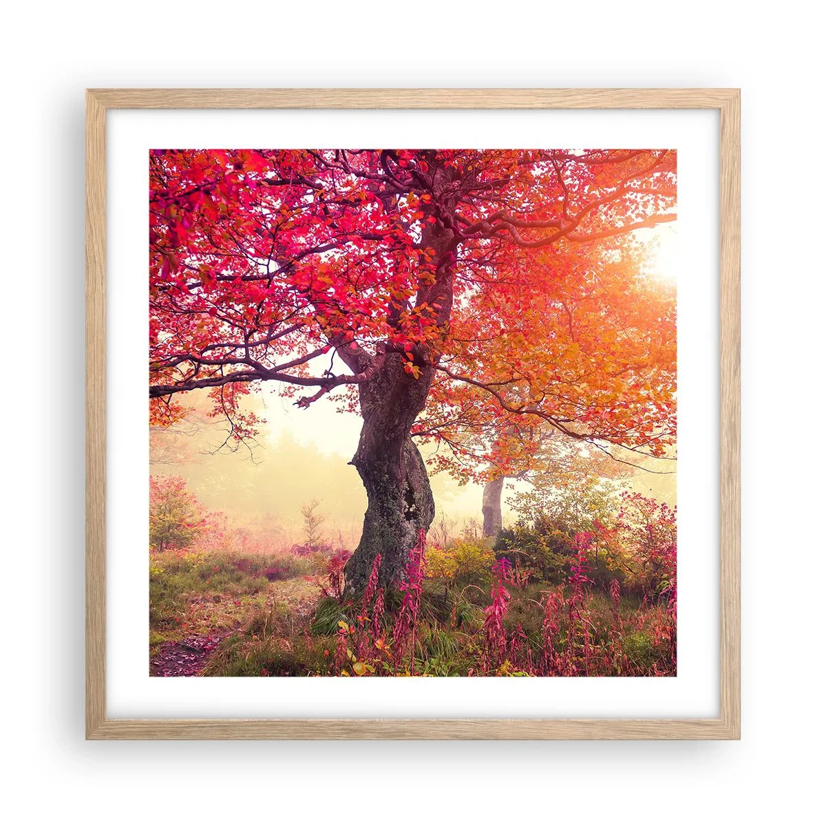 Poster in cornice rovere chiaro - L'esplosione della fioritura - 50x50 cm