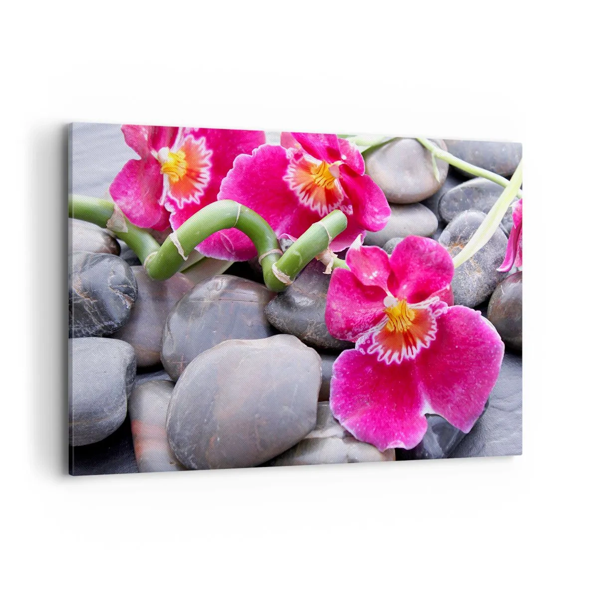 Quadro su tela - Stampe su Tela - Orchidee rosa su uno sfondo di pietre lisce - 120x80cm - Fresco e calore - Decorazione murale moderna per soggiorno e camera da letto ARTTOR