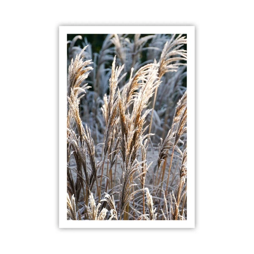 Poster - Vestite di brina - 61x91 cm