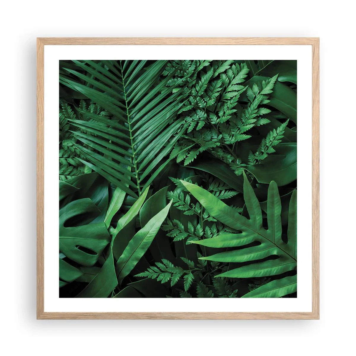 Poster in cornice rovere chiaro - Avvolti nel verde - 60x60 cm